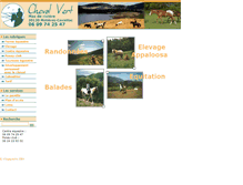 Tablet Screenshot of chevalvert.com